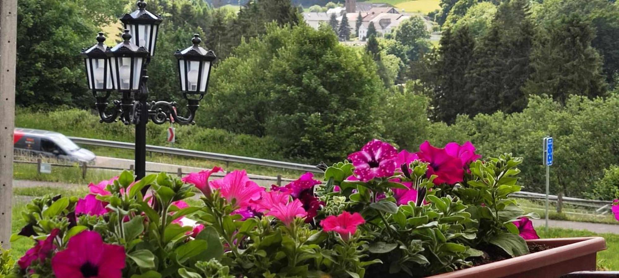 Willa Chalet Rose Burg Reuland Zewnętrze zdjęcie